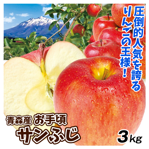 りんご 青森産 お手頃サンふじ 約3kg 送料無料 食品