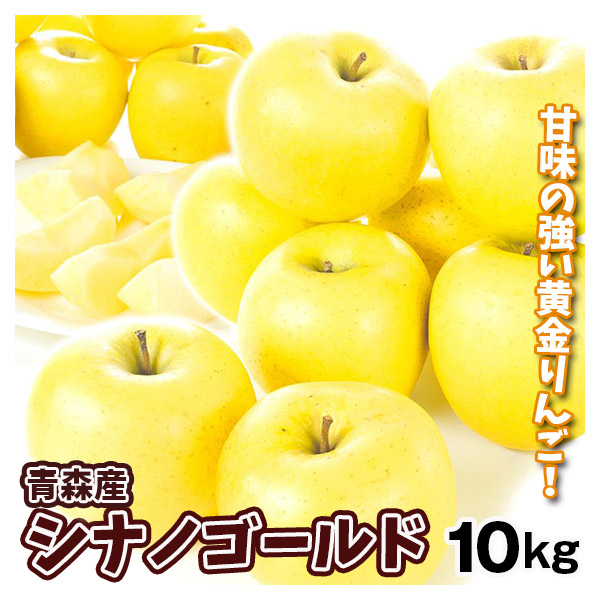 りんご 青森産 シナノゴールド 10kg 送料無料 食品