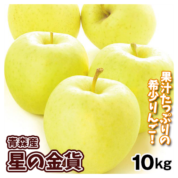 りんご 青森産 星の金貨 10kg 送料無料 食品