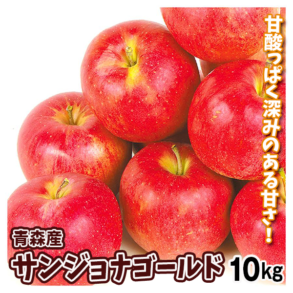 りんご 青森産 サンジョナゴールド 10kg 送料無料 食品