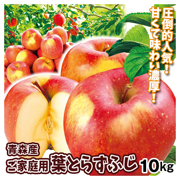 りんご 青森産 ご家庭用 葉とらずふじ 10kg サンふじ 送料無料 食品