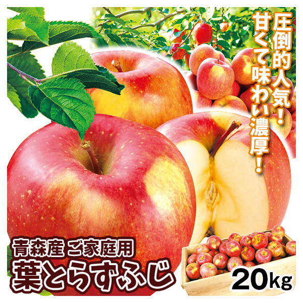 りんご 青森産 ご家庭用 葉とらずふじ 約20kg 木箱 サンふじ 送料無料 食品