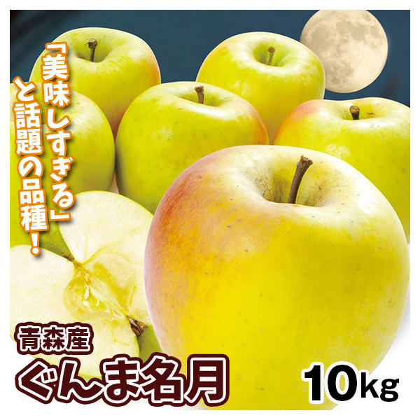 りんご 青森産 大特価 ぐんま名月 10kg 送料無料 食品