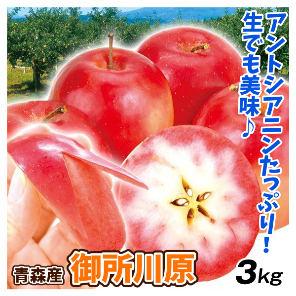 りんご 青森産 御所川原 3kg ごしょがわら 赤肉りんご 送料無料 食品