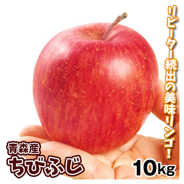 りんご 青森産 ちびふじ 10kg 小玉 送料無料 食品