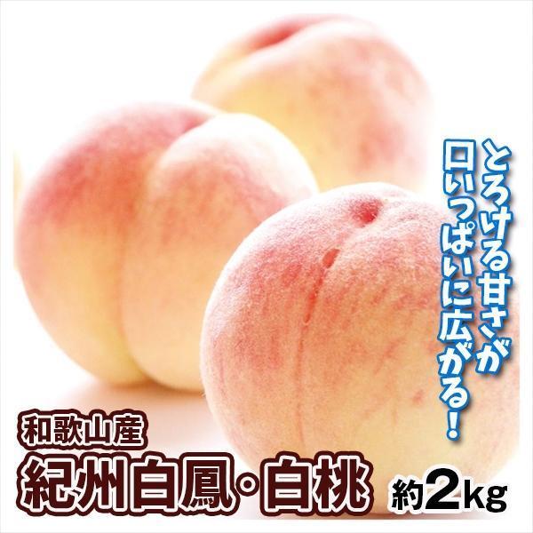 もも 和歌山産 紀州白鳳・白桃 約2kg 送料無料 食品