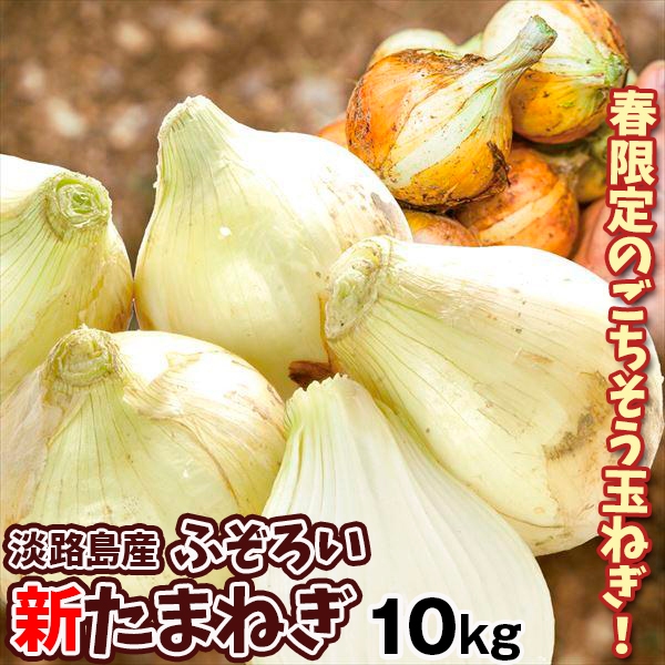 たまねぎ 淡路島産 ふぞろい新たまねぎ 10kg 訳あり 送料無料 食品