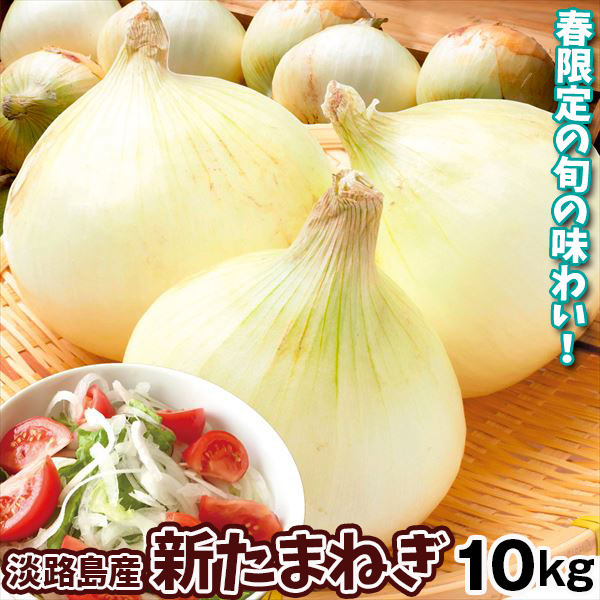 たまねぎ 淡路島産 新たまねぎ 10kg 送料無料 食品
