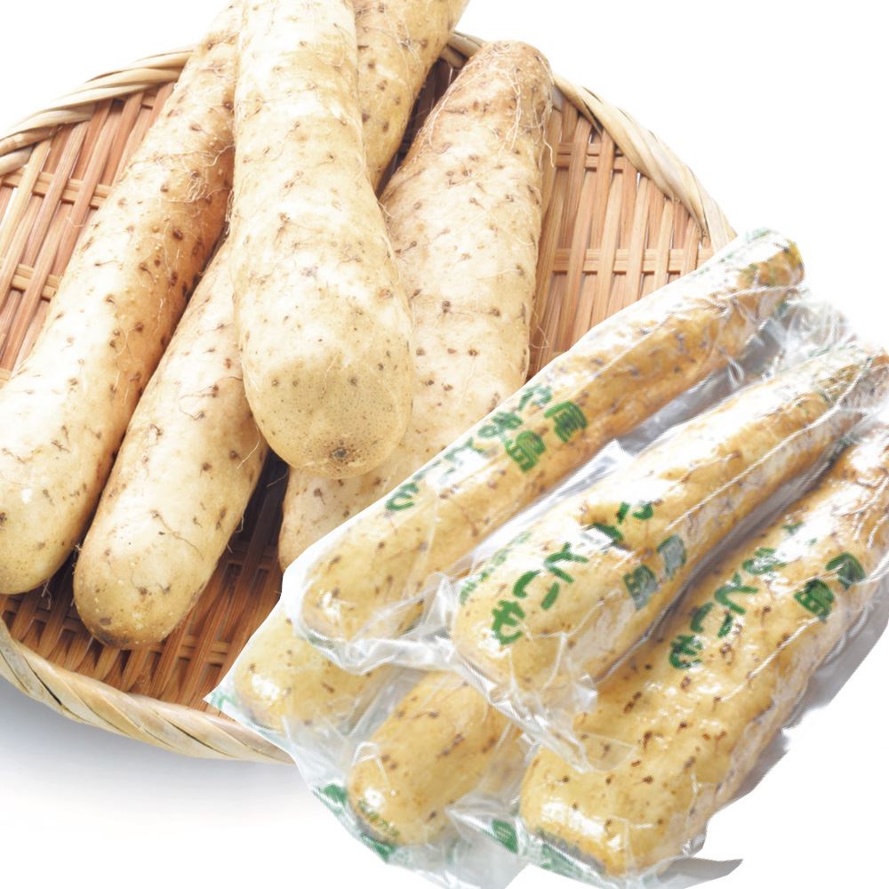山いも 群馬産 やまといも・切れ子 5本 送料無料 食品