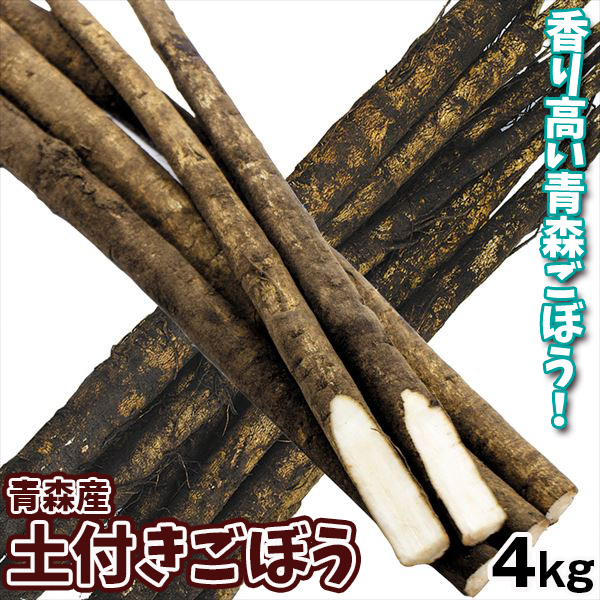青森産 土付きごぼう 4kg 送料無料 食品