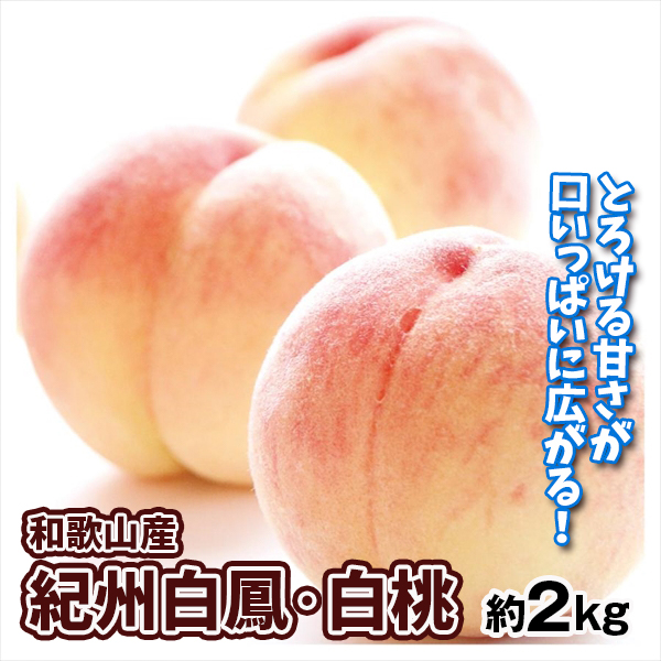 もも 和歌山産 紀州白鳳・白桃 約2kg  送料無料 食品