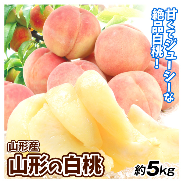 もも 大特価 山形の白桃 約5kg 山形産 ご家庭用 冷蔵便 送料無料 食品