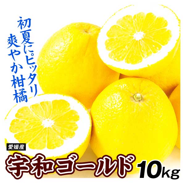 みかん 宇和ゴールド 10kg 愛媛産 ご家庭用  送料無料 食品