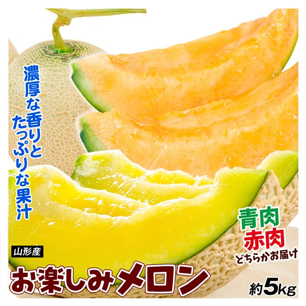 メロン 山形産 庄内お楽しみメロン 約5kg 青肉 赤肉 送料無料 食品