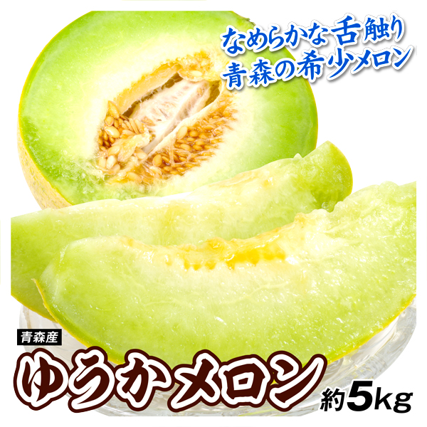 メロン ゆうかメロン 約5kg 青森産 冷蔵便 送料無料 食品
