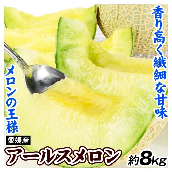 メロン 愛知産 お買得 アールスメロン 約8kg ご家庭用 送料無料 食品