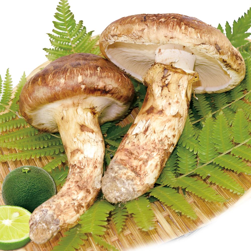 松茸 約150g 国産松茸 石川・長野産 送料無料 食品