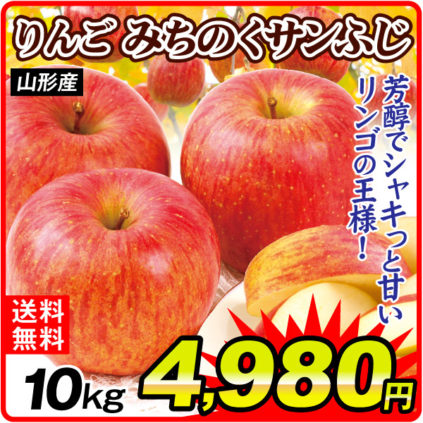 りんご 10kg みちのくサンふじ 山形産 送料無料 食品