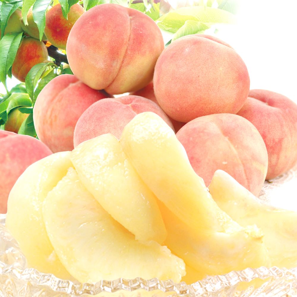 もも 約5kg 大特価 山形の白桃 冷蔵便 送料無料 食品