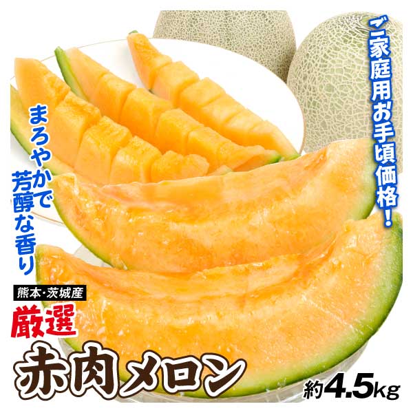 メロン 約4.5kg 厳選 赤肉メロン 熊本・茨城産 品種おまかせ ご家庭用 送料無料 食品