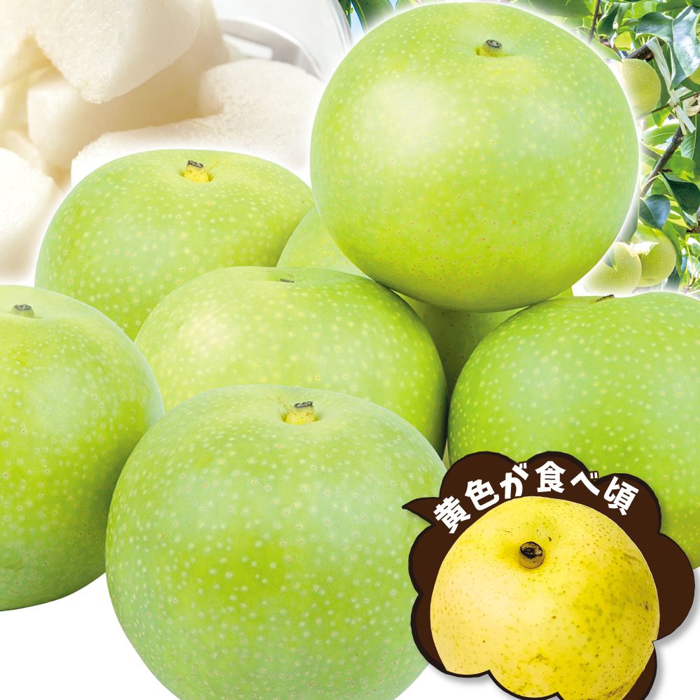 【テスト】鳥取産　ご家庭用二十世紀梨　１０ｋｇ