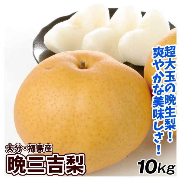 なし 10kg 晩三吉梨 大分・福島産 送料無料 食品
