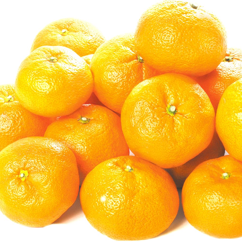 みかん 10kg 有田大玉みかん 和歌山産 送料無料 食品