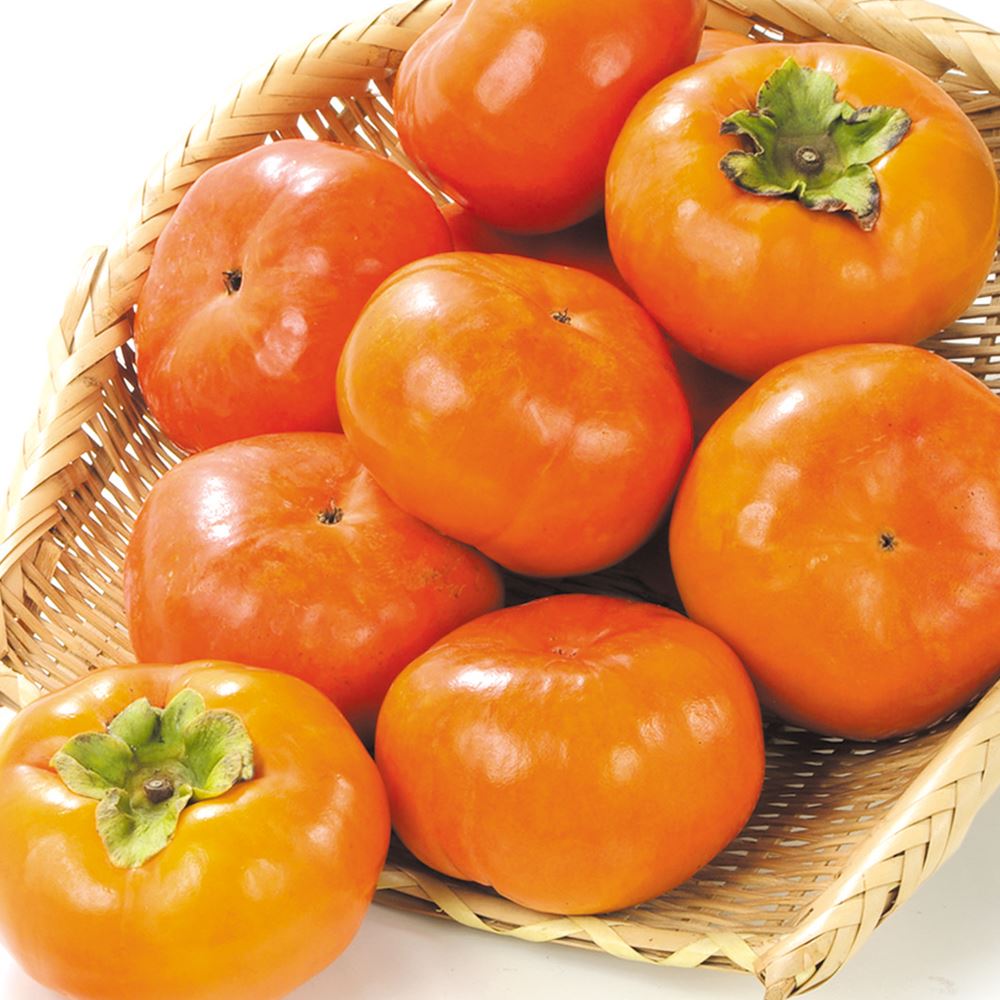 かき 4kg 早秋柿 福岡産 送料無料 食品