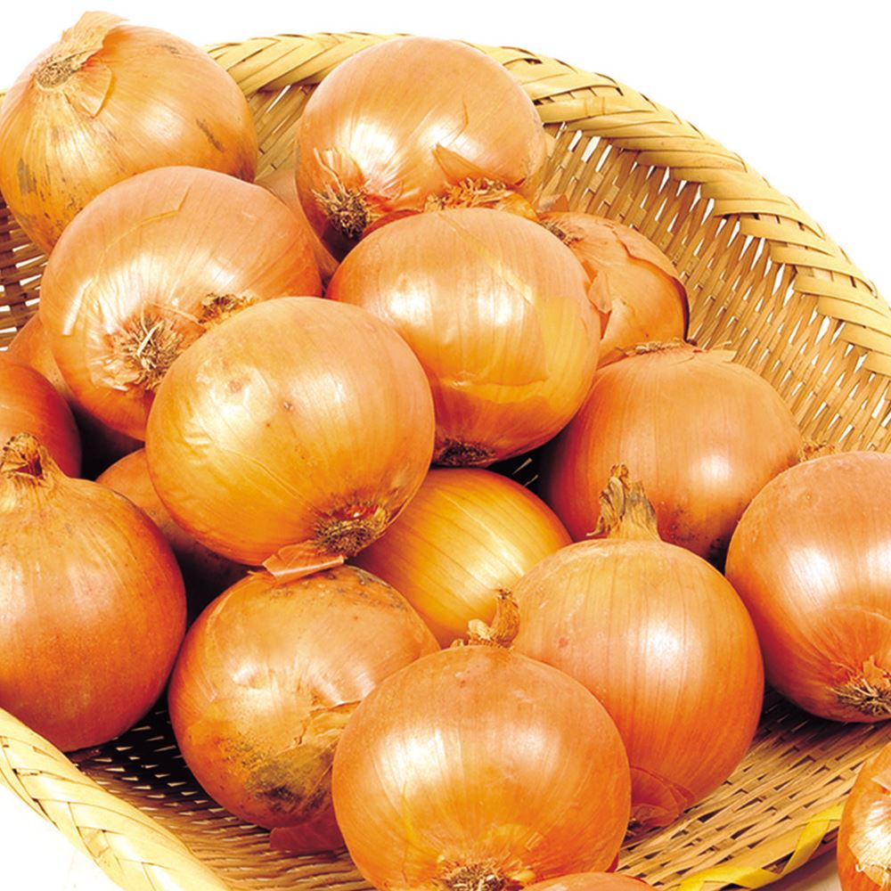 たまねぎ 20kg 北海道産 送料無料 食品