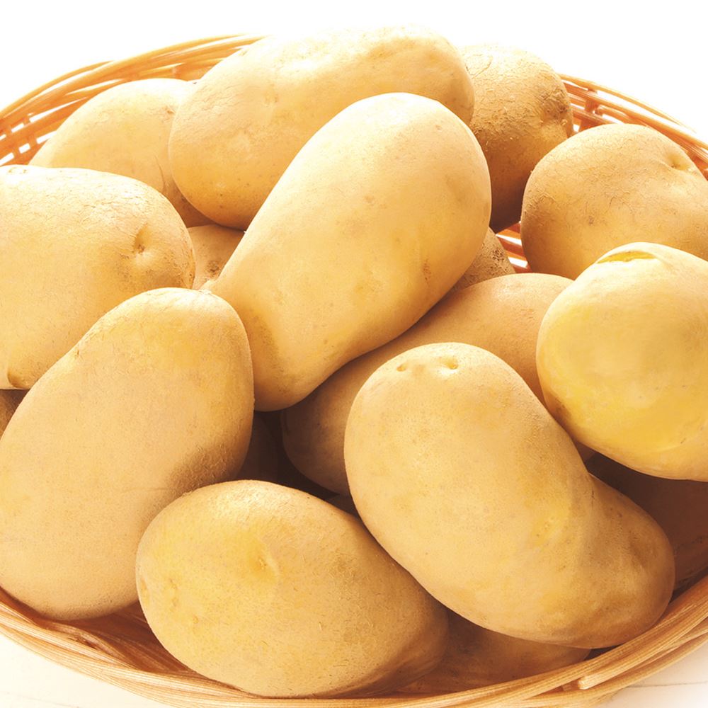 じゃがいも 10kg メークイン 北海道産 送料無料 食品