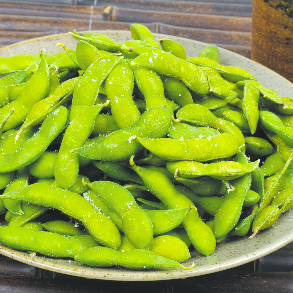 【テスト】山形産　だだちゃ豆１㎏　冷蔵便　山形発送