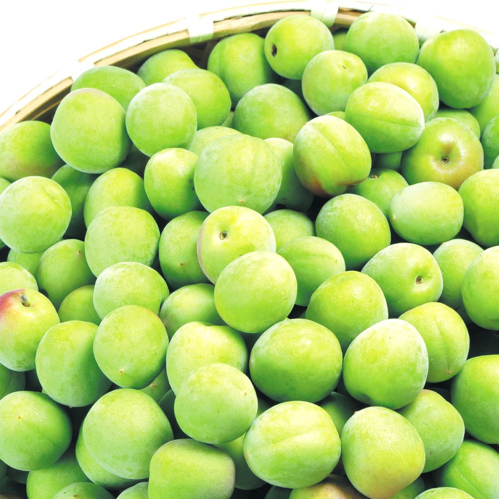 梅 5kg 紀州南高梅【青梅】 和歌山産 冷蔵便 送料無料 食品