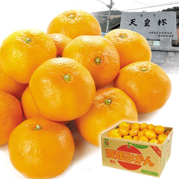 みかん 9kg 川上みかん お買得 愛媛産 送料無料 食品