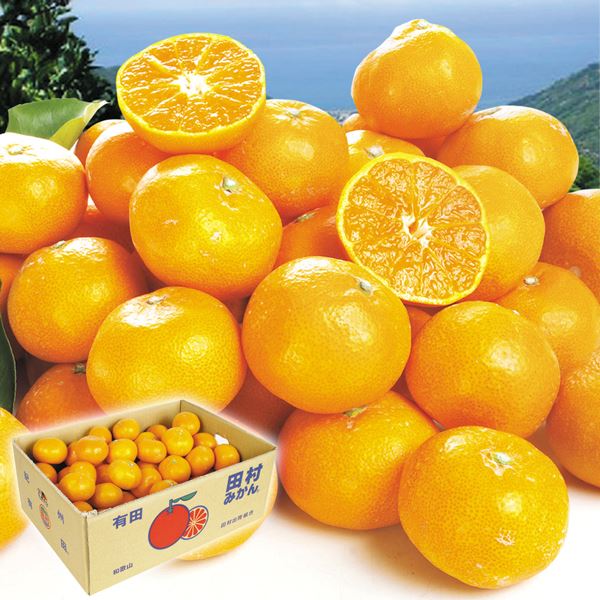 みかん 5kg 田村みかん 和歌山産 送料無料 食品