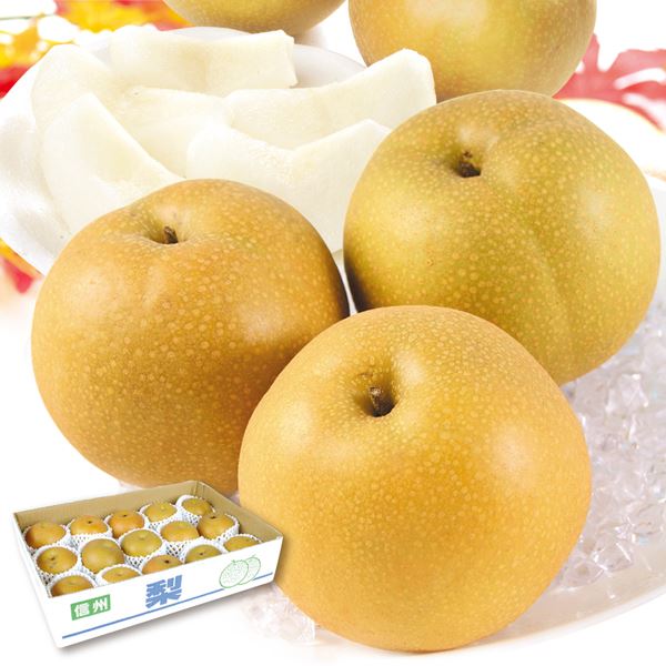 なし 5kg 南水梨 大特価 長野産 送料無料 食品