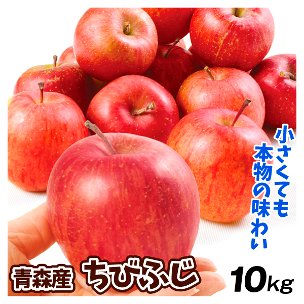 りんご 10kg ちびふじ 青森産 送料無料 食品