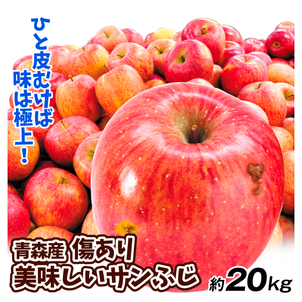 りんご 約20kg 傷あり 美味しいサンふじ 青森産 送料無料 食品
