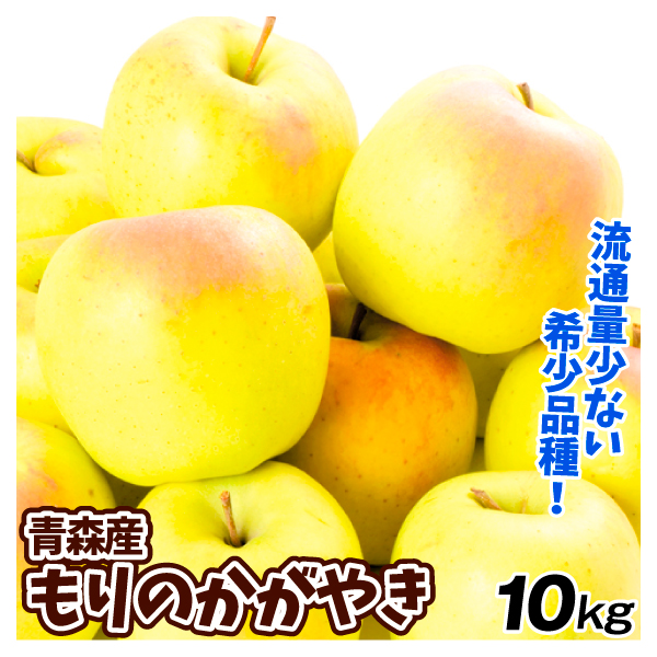 りんご 10kg もりのかがやき 青森産 送料無料 食品