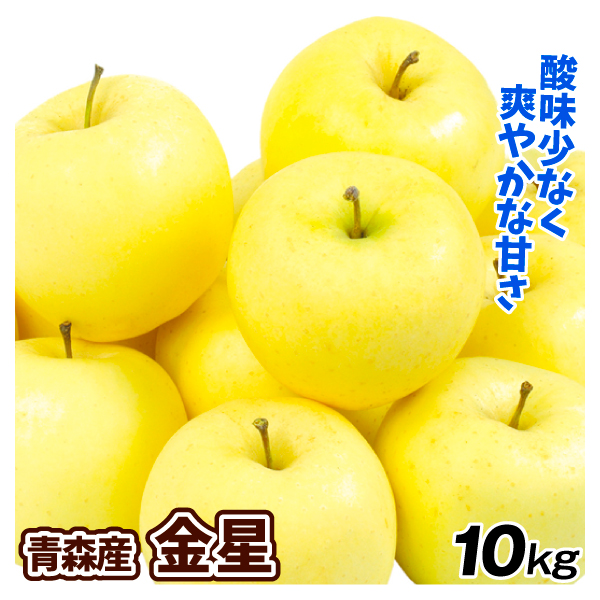 りんご 10kg 金星 青森産 送料無料 食品