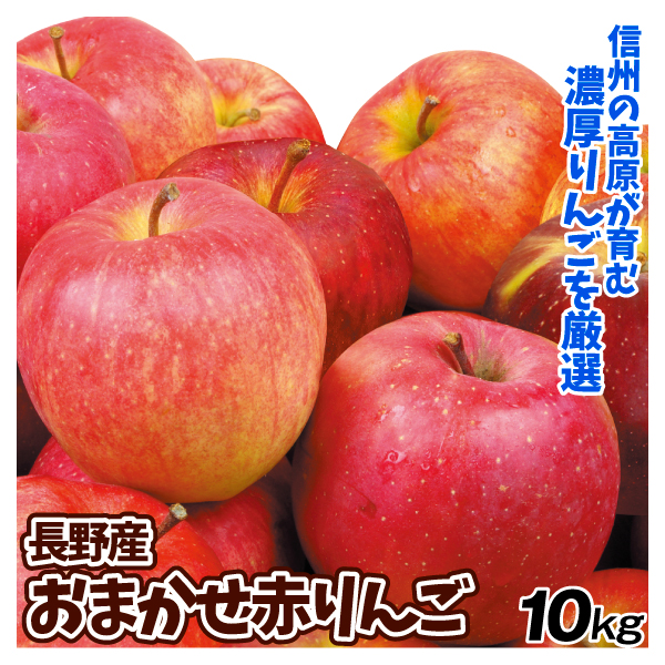 りんご 長野産 おまかせ赤りんご 10kg  ご家庭用 送料無料 食品