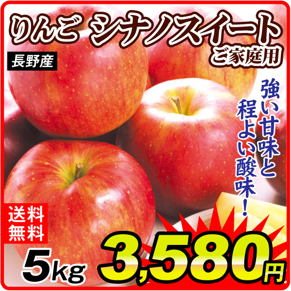 りんご 5kg シナノスイート ご家庭用 長野産 送料無料 食品