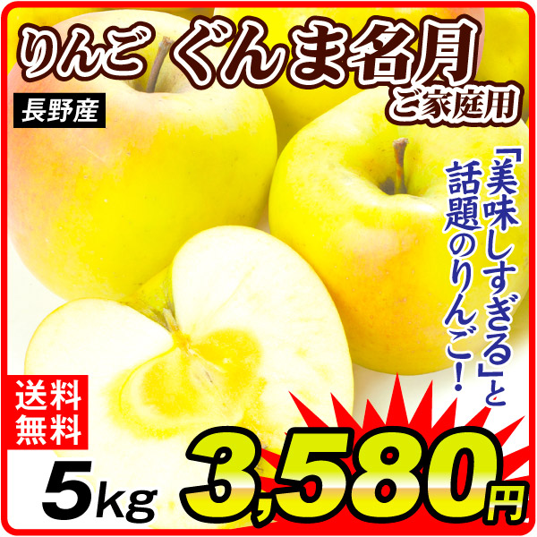 りんご 5kg ぐんま名月 ご家庭用 長野産 送料無料 食品