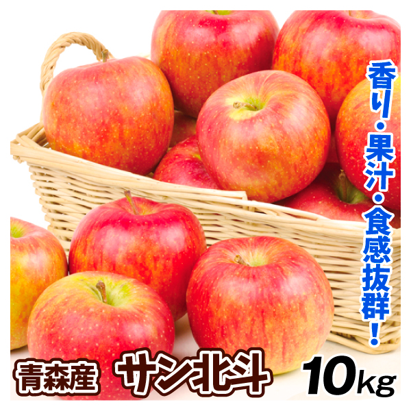 りんご 10kg サン北斗 青森産 送料無料 食品