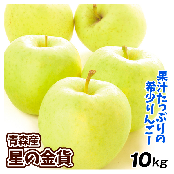りんご 10kg 星の金貨 青森産 送料無料 食品