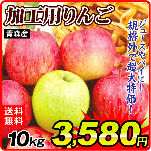 りんご 10kg 加工用MIXりんご 青森産 送料無料 食品