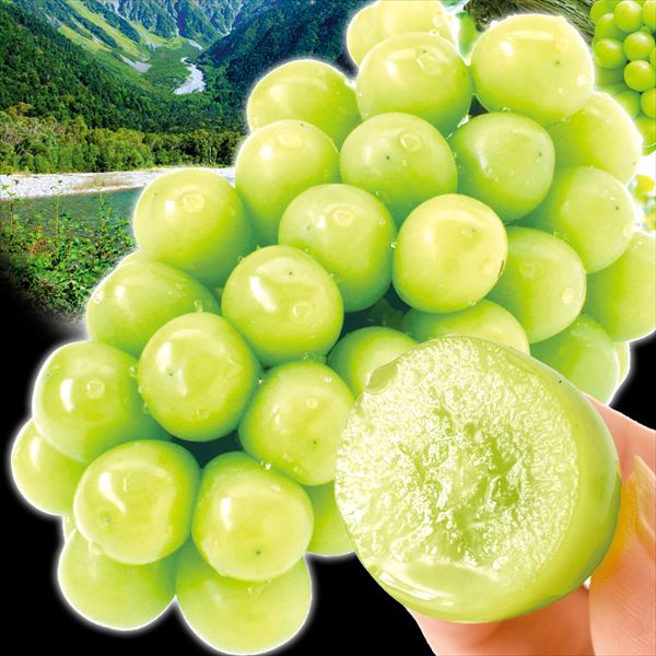 ぶどう 1kg お買得 シャインマスカット 長野産 ご家庭用 種なし 皮ごとOK 約500g×2房 送料無料 食品