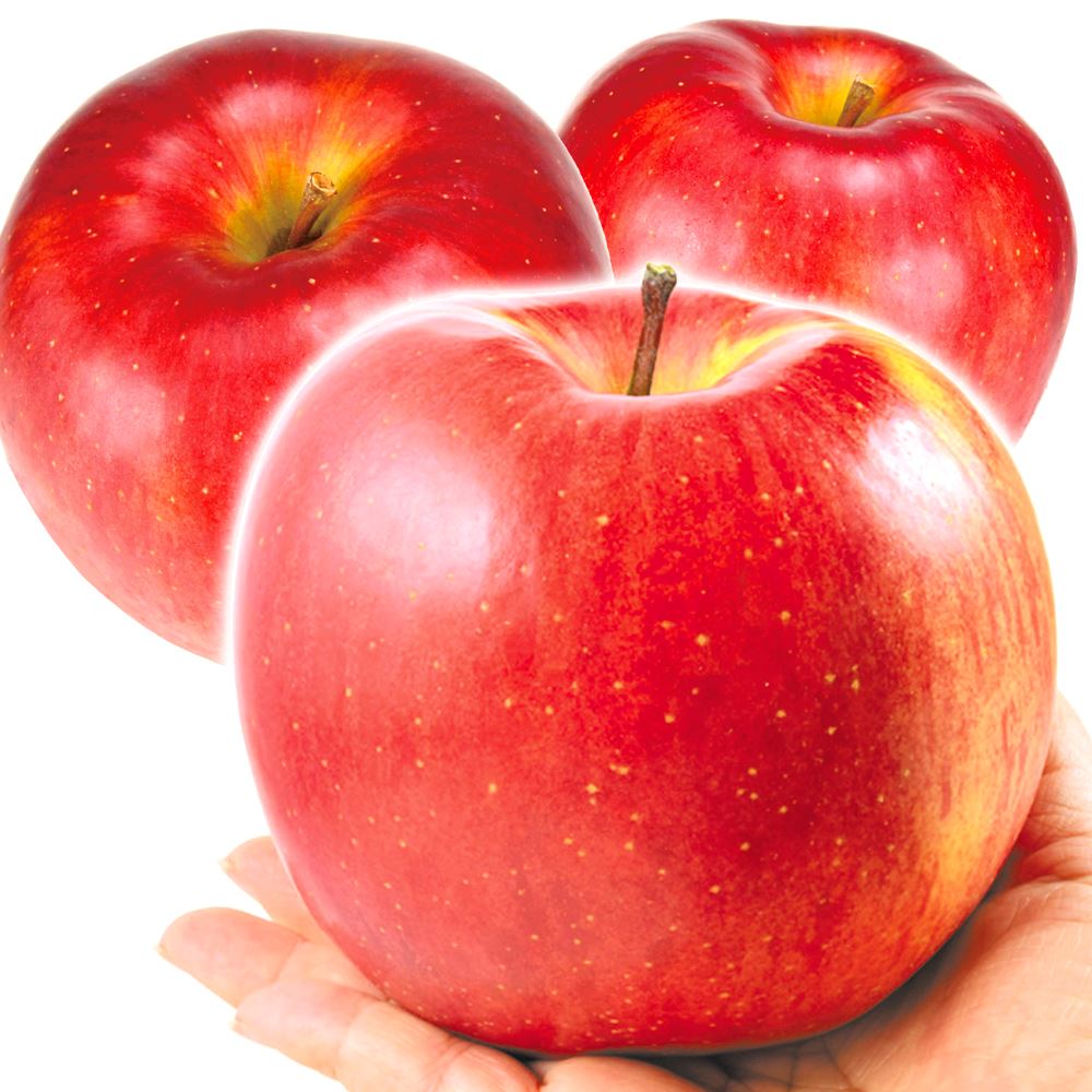 りんご 10kg 青森産 大玉サンふじ ご家庭用 送料無料 食品