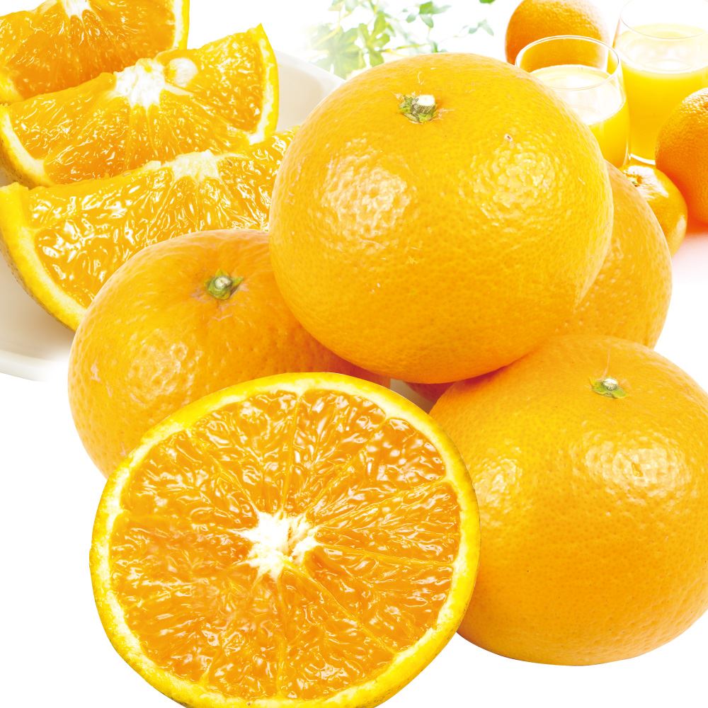 みかん 10kg 愛媛・和歌山産 清見オレンジ ご家庭用 送料無料 食品