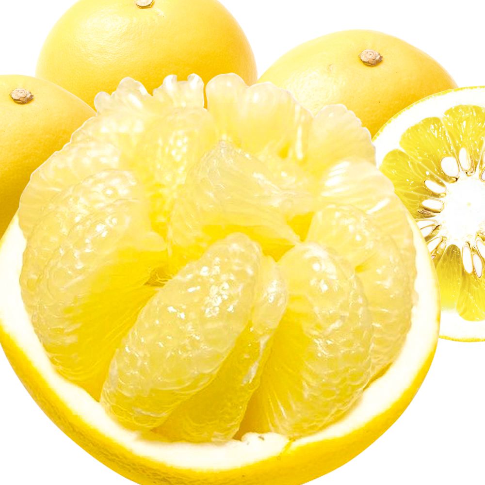 みかん 10kg 文旦 愛媛産 大特価 送料無料 食品