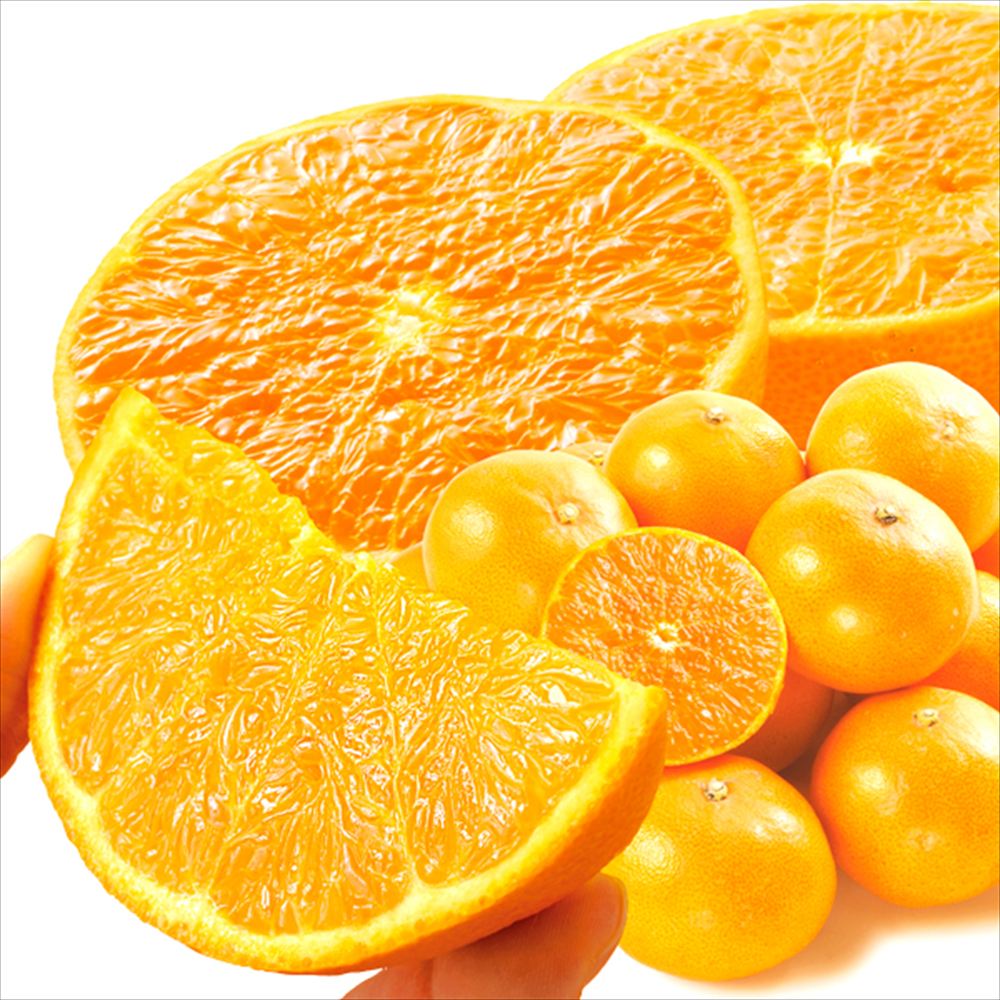 みかん 5kg せとか 愛媛産 ご家庭用 送料無料 食品